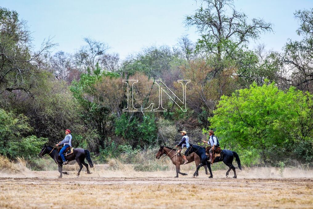 Los caballos mejores entrenados son los que llegan a la final de mañana, para la cual se realizaron las pruebas de resistencia en 3 jornadas. Foto: Carlos Juri.
