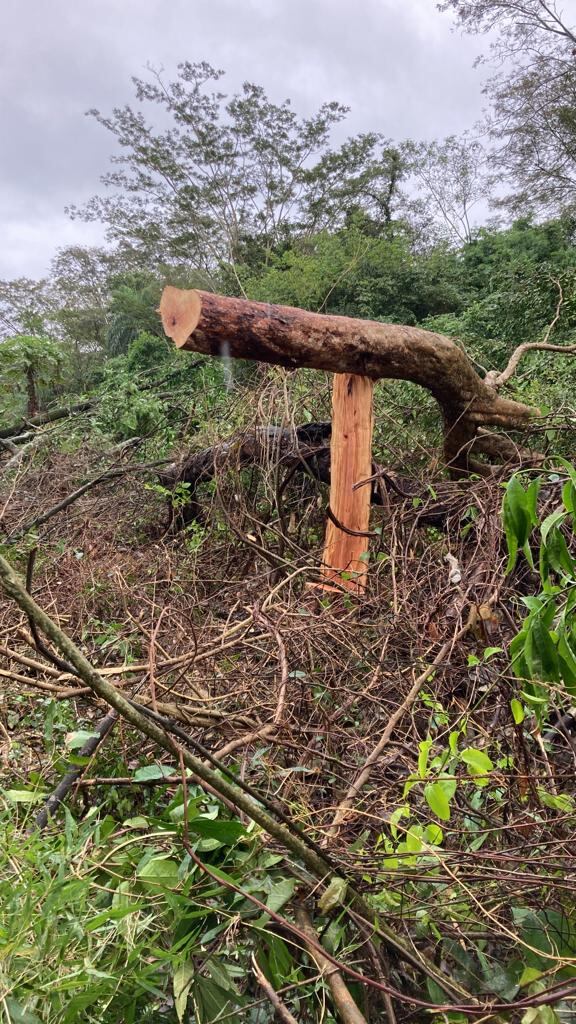 Uno de los propietarios del inmueble Arnold Smith solicitó de nuevo la rápida intervención de las autoridades encargada de la seguridad ante la problemática. Foto: Gentileza.