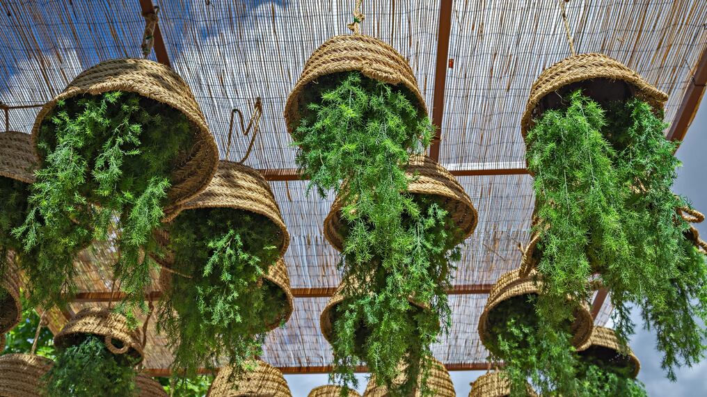 ¿Ya viste la técnica deco de las planteras al revés?