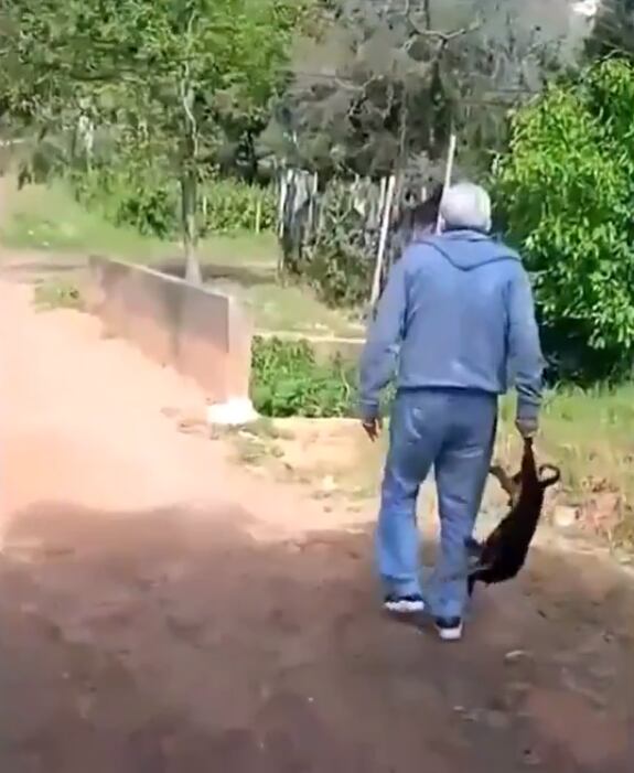 El hombre fue identificado como Gonzalo Deiró y fue denunciado ante el Ministerio Público por los vecinos del barrio Las Mercedes y por la propietaria del perro. Foto: Captura de pantalla.