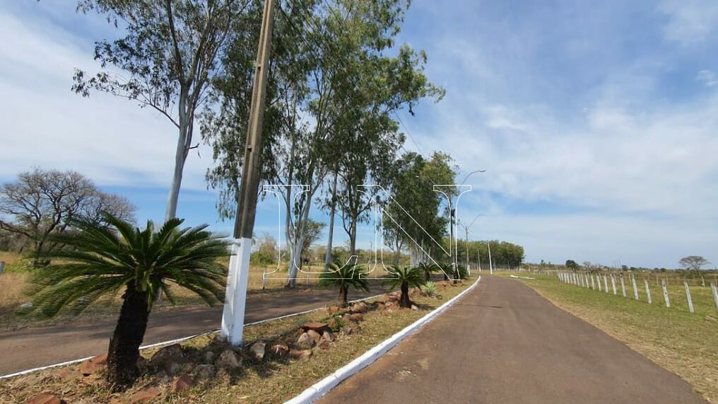 Concepción no cuenta actualmente con vacunatorios en la modalidad vehicular, por lo que las personas deben formar filas a pie para poder ser inmunizadas. Foto: Ángel Flecha.