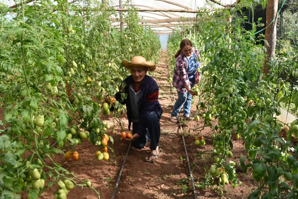 El CAH lanzará una nueva línea de crédito que estará relacionada al tratamiento de suelo. Foto: Gentileza.