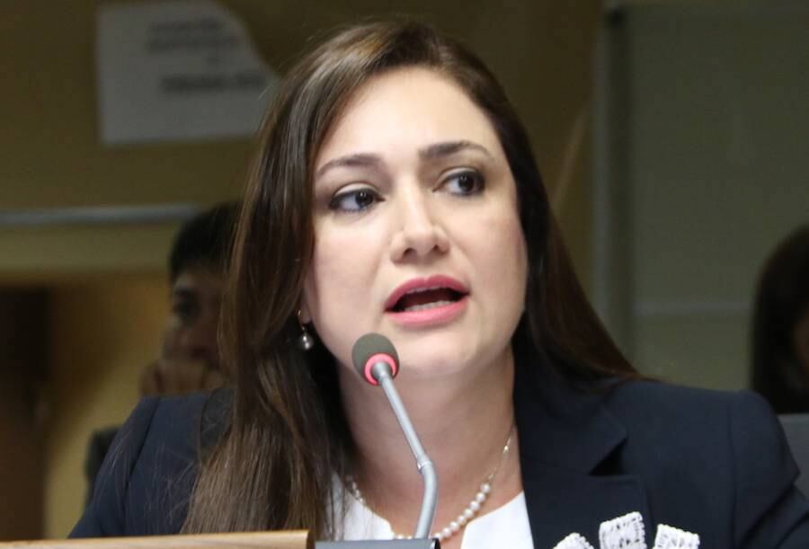 La diputada Rocío Abed aseguró que un objetivo claro es lograr mejor equipamiento para los hospitales regionales de Alto Paraná, Villa Hayes y Encarnación. Foto: Archivo.
