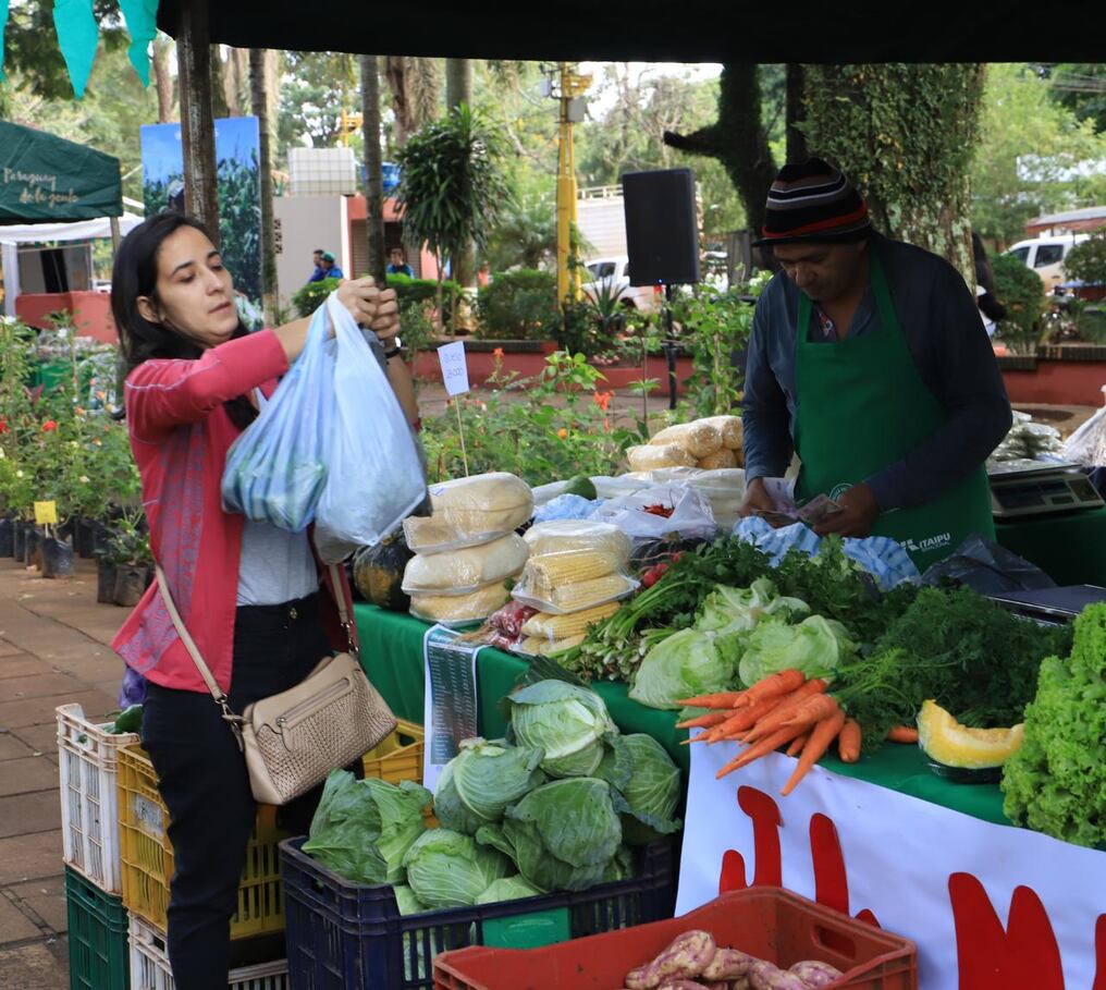 Según el reporte del Ministerio de Agricultura y Ganadería (MAG), al menos 450 familias rurales se vieron beneficiadas con esta actividad. Foto: Gentileza