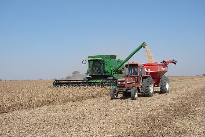 La recuperación en el sector agrícola durante este año impulsará el crecimiento económico en el Paraguay, indicaron los referentes. Foto: Archivo.