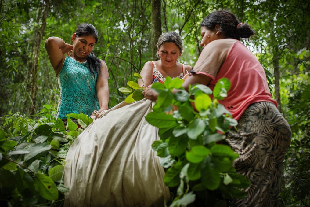 La idea de las capacitaciones a los técnicos de extensión agraria es que puedan replicar los conocimientos, ponerlos en práctica, formar a otros técnicos y a una sucesión de líderes. Foto: WWF-Paraguay (Ilustrativa)