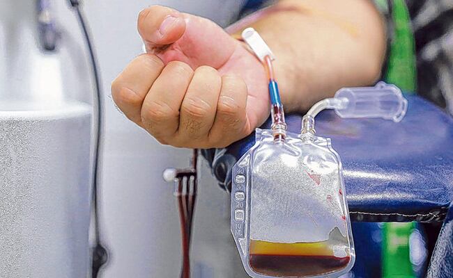 Varios pacientes con coronavirus ya fueron tratados con el plasma sanguíneo. Foto: Gentileza.