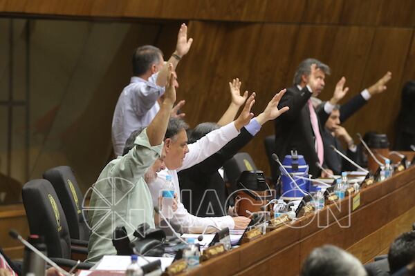 Frente Guasu y llanistas lograron el apoyo de varias bancadas para aprobar el subsidio para la deuda campesina.foto: CHRISTIAN MEZA