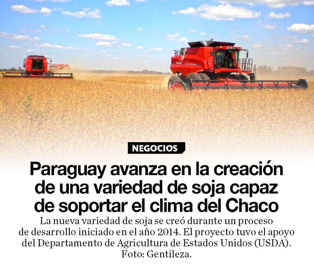 Paraguay avanza en la creación de una variedad de soja capaz de soportar el clima del Chaco