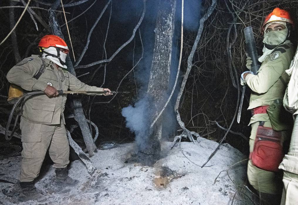 Los bomberos avanzan entre los arbustos para apagar las llamas o dar con algÃºn foco subterrÃ¡neo, que quema lentamente sin llamas la vegetaciÃ³n acumulada en el subsuelo. Foto: AFP