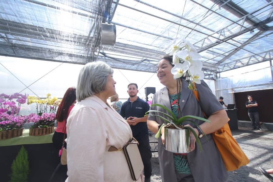 La Nación / Comercializaron 1.700 orquídeas por un valor de G. 80 millones  en feria de los enamorados