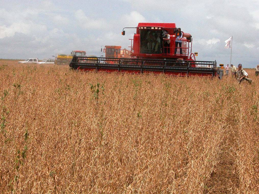 La cotizaciones de la soja, el maíz y el trigo registraron caídas al cierre del primer semestre del 2022. Foto: Archivo.