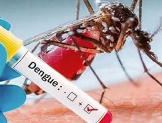 Los casos de dengue también están en aumento. Foto: archivo.